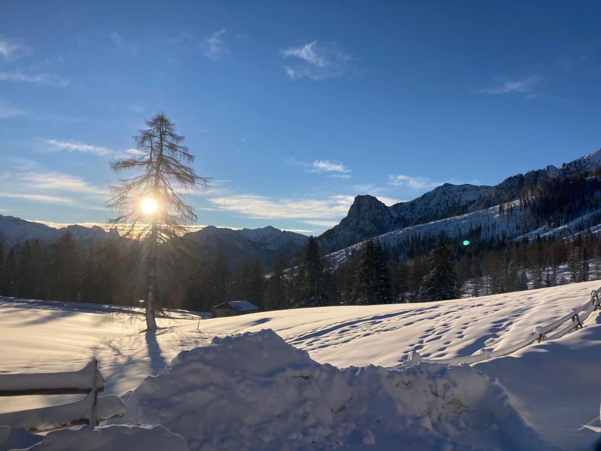 Renoviertes Apartment Mit Terrasse An Der Piste Mit Kostenlosen Wifi 卡瑞扎奥湖 外观 照片